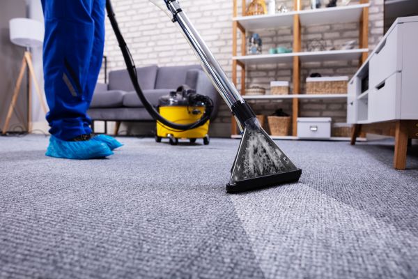 Carpet Deep Cleaning in Issaquah