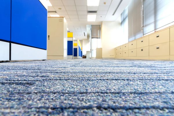 Business Carpet Cleaning in Issaquah