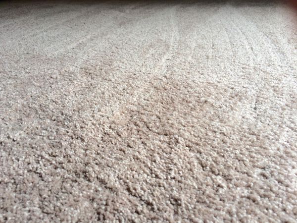 Plush Carpet Installation in Issaquah
